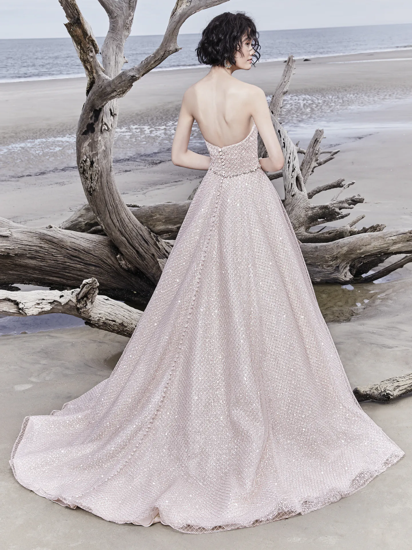 Magdalyn  Princess Ballgown Wedding Dress by Sottero and Midgley