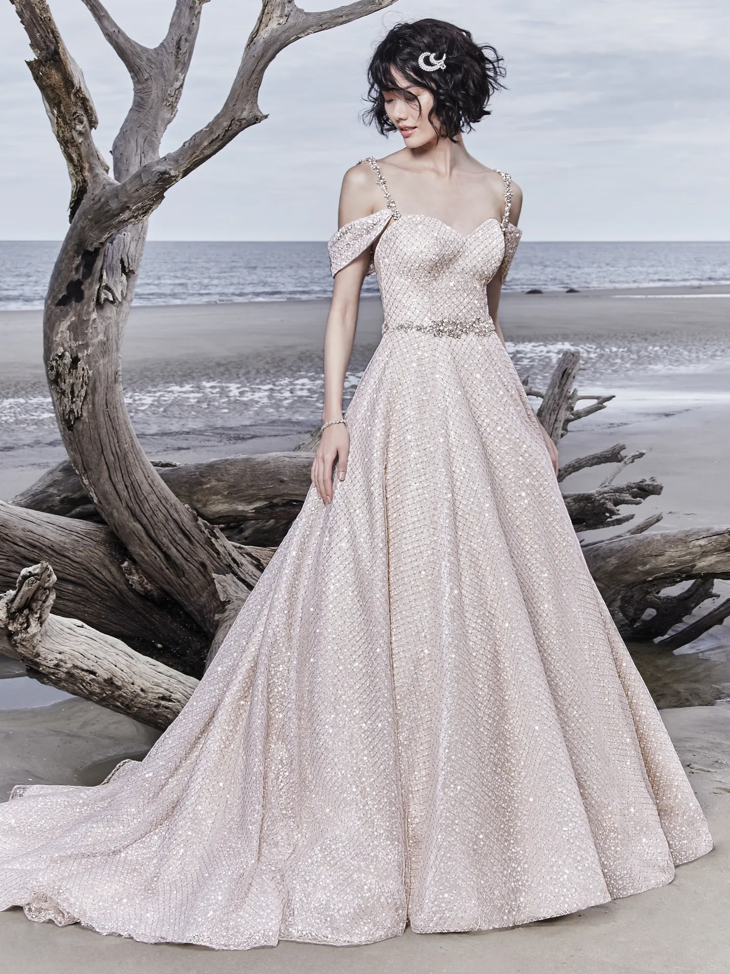 Magdalyn  Princess Ballgown Wedding Dress by Sottero and Midgley
