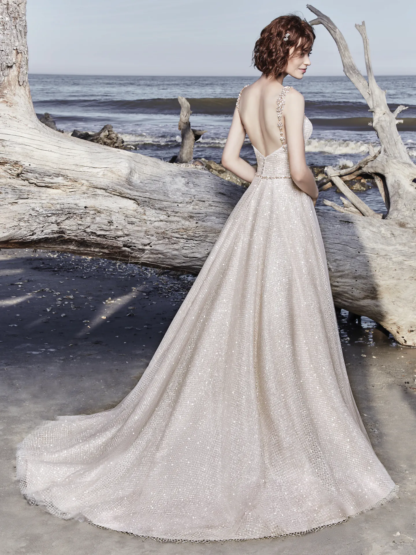 Vidette  Princess Ballgown Wedding Dress by Sottero and Midgley