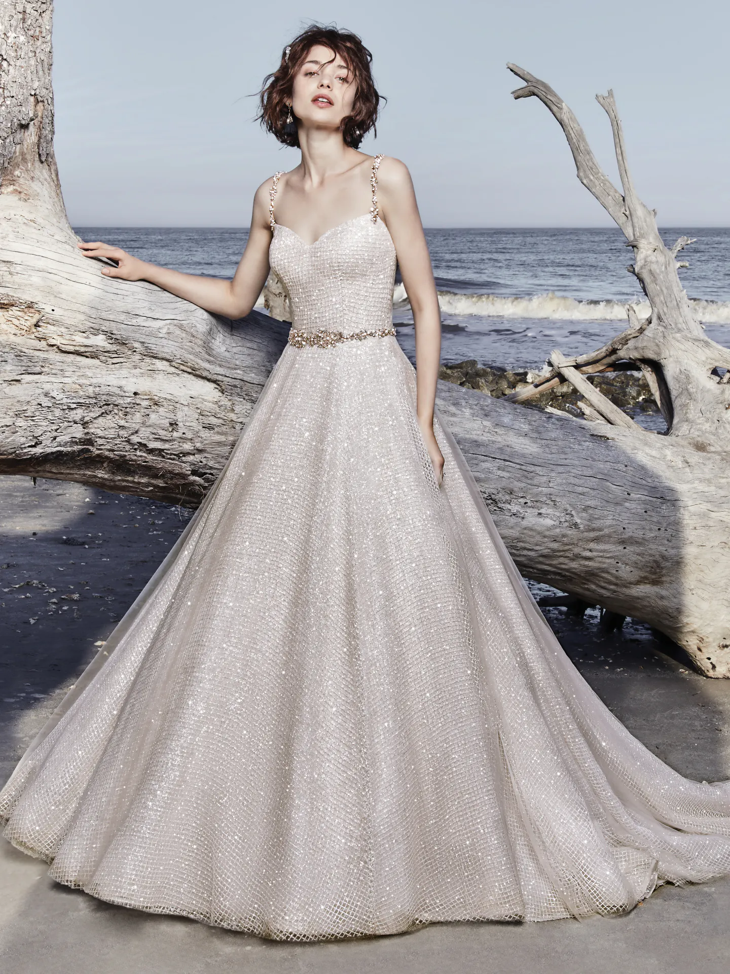 Vidette  Princess Ballgown Wedding Dress by Sottero and Midgley