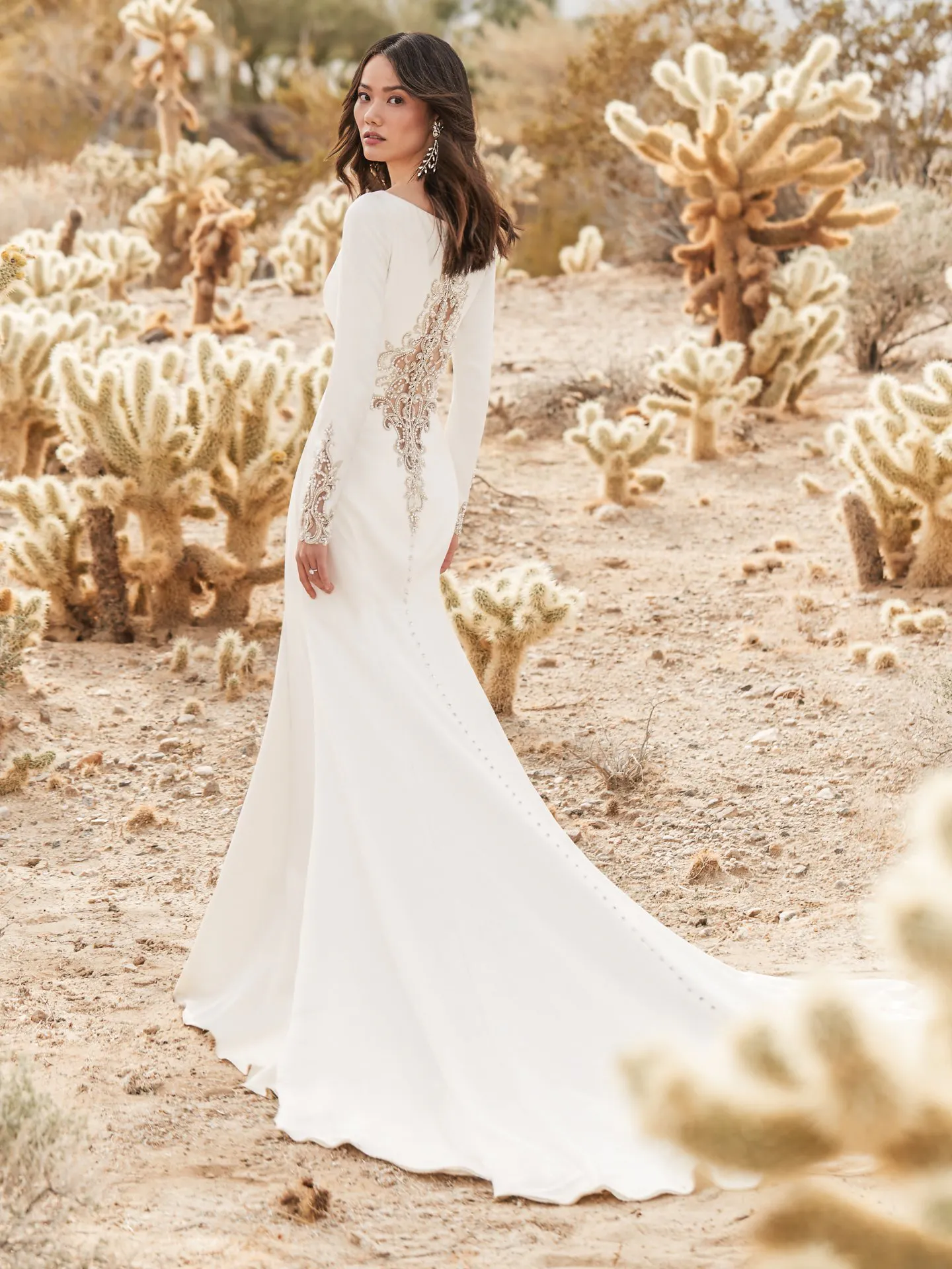 Aston  Long Sleeve Simple Wedding Dress by Sottero and Midgley